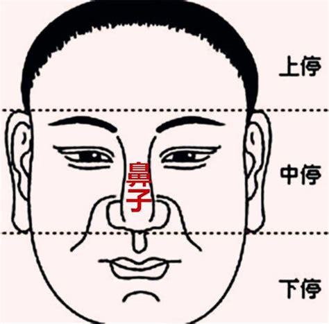 鼻子紅面相|「面相」鼻為面王，鼻子看你性格和財運！